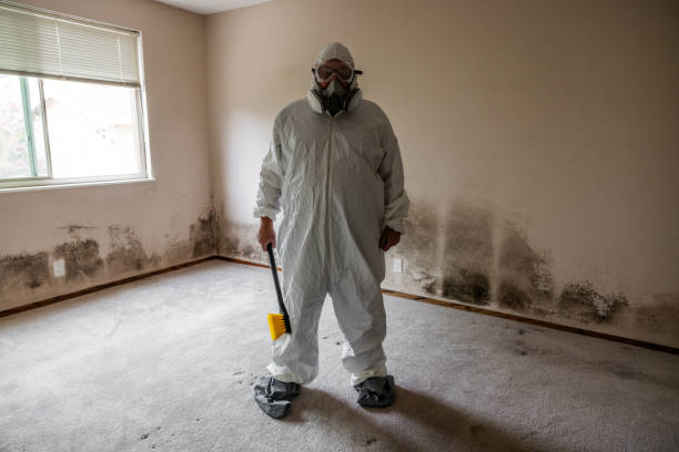 Best Industrial Mold Remediation in Commerce, GA